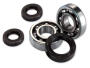 Crankshaft bearing kit Pegasus Sky II scooter