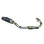 Exhaust System for Adly Herkules Supermoto 500S carbon edition