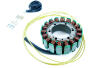 Lichtmaschine Stator für Honda XRV 650 / 750 Africa Twin