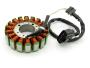 Lichtmaschine für Yamaha YZF-R1 1000 RN09 02-03