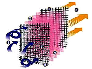 Luftfilter für Suzuki DR 250 / DR 350 Tauschluftfilter