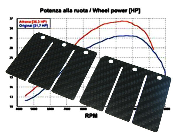 Membrane Carbon für Aprilia RS 125 (Rotax) Stage 2 Racing