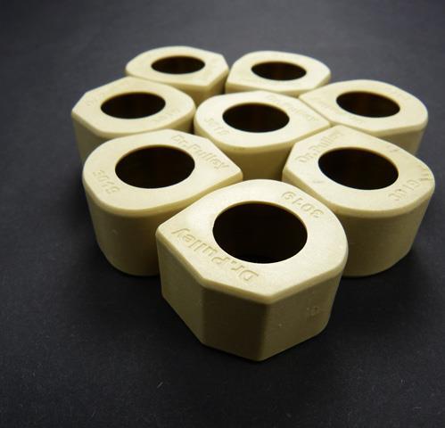 Variatorrollen Access SP 250 / 300 Dr.Pulley