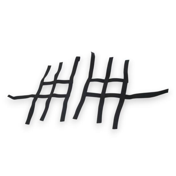 Nerf Bar Netz für Yamaha YFS 200 Blaster Quad schwarz 3+1