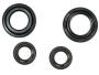 Engine oil seal kit Derbi Senda/Terra 125