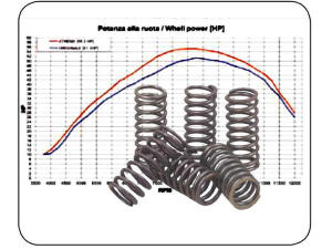 Spring clutch Honda TRX 300 EX heavy duty kit
