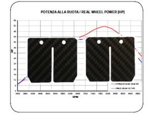 Membrane Carbon Honda MTX 80 R Stage 2 Racing