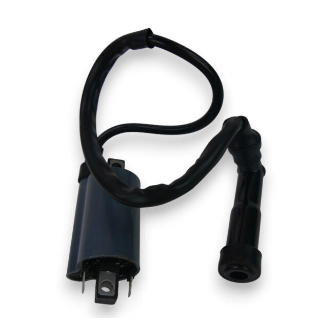 Bobine D'allumage Moto 12V - Pour Yamaha YPR X Max, VP X City, XTZ Tenere, XV Virago...