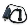 Ignition coil assy Yamaha YFM 700 / 550 Grizzly Raptor YFM700R