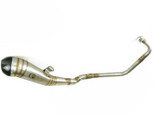 Auspuff für Yamaha YZF 125 R Carbon GP Style