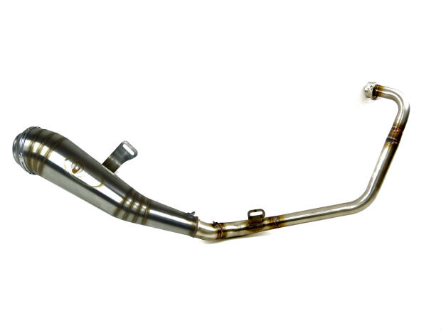 Auspuff für Yamaha YZF 125 R GP Style