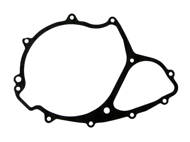 Lichtmaschinen Dichtung Stator für BMW F 650 GS/CS / G 650 G/Xchallenge