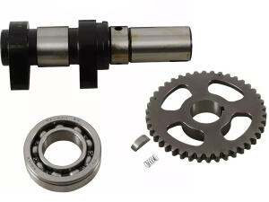 Nockenwelle Dinli DMX 450 DL 901 902 904 Auslass Stage 1