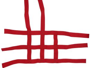 Nerfbar Netz CAN AM Renegade 500/800 red Nerf bar