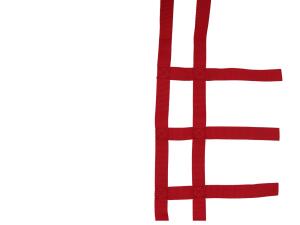 Nerfbar Netz CAN AM Renegade 500/800 rot Nerf bar