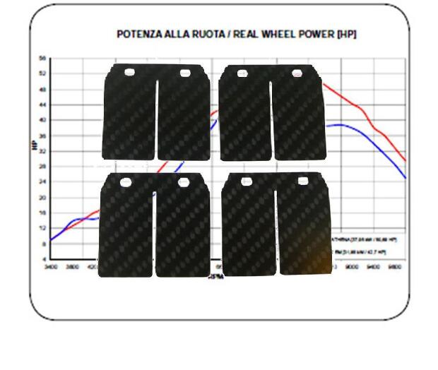 Membrane Carbon für Yamaha RD 350 LC YPVS / YFZ 350 Banshee, Stage 2 Racing