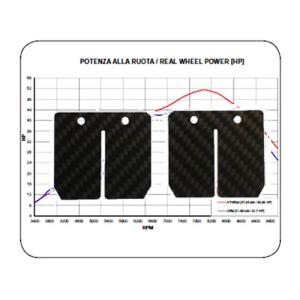 Membrane Carbon für Honda MBX / MTX 80, NSR / MBX 75, Stage 2 Racing