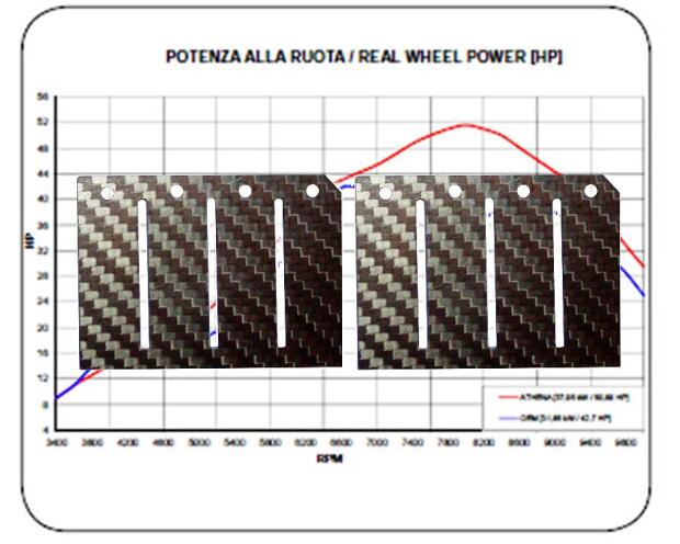Membrane Carbon Cagiva 125 Mito / Evolution / WMX, Stage 2 Racing