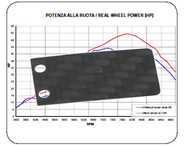 Membrane Carbon für Aprilia ET 50 / Tuareg 50, Rieju Drac AC 50, Stage 2 Racing