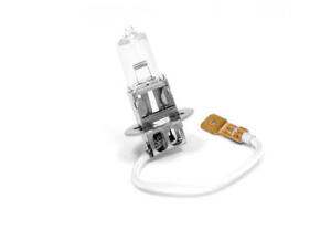 Glühbirne Abblendlicht Vespa 125 ET4 Halogen H3...