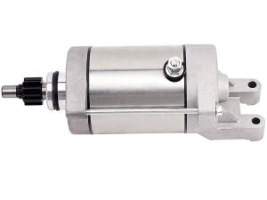 Anlasser Starter für Aprilia Pegaso MZ MUZ Baghira Mastiff Yamaha MT TT XT Z