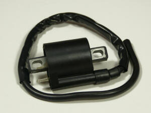 Ignitation coil assy Dinli 50/100 DL601/603