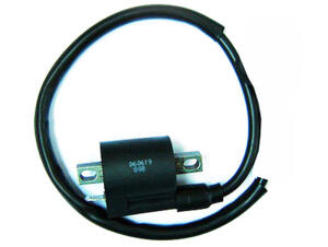 Ignitation coil assy Dinli 50/100 DL601/603