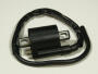 Ignitation coil assy Dinli 50/100 DL601/603