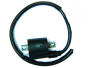 Ignitation coil assy Dinli 50/100 DL601/603