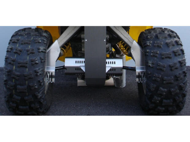 Querlenkerprotektoren hinten Can Am Renegade 500 - 800 G1