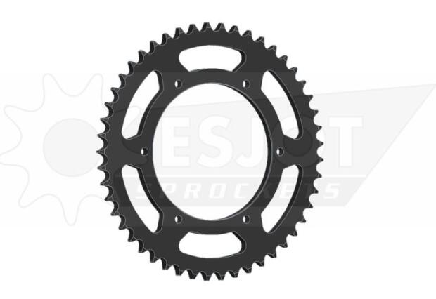 Kettenrad für Derbi GPR 125 4T Zähnezahl 49