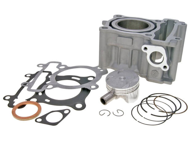 Naraku Zylinderkit Zylinder Kolben 125ccm für Yamaha WR 125 X R MT 125 YP YZF-R 125