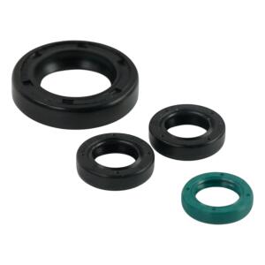 Wellendichtring Simmerringe für Honda CBR 125 R 04-17