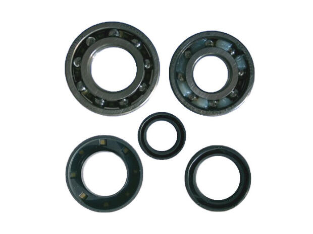 Kurbelwellen Reparatursatz TGB Motor Überholung