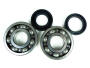 Crankshaft rebuilding kit Yamaha TZR / TDR / DT125 R/DT125X/R/LC