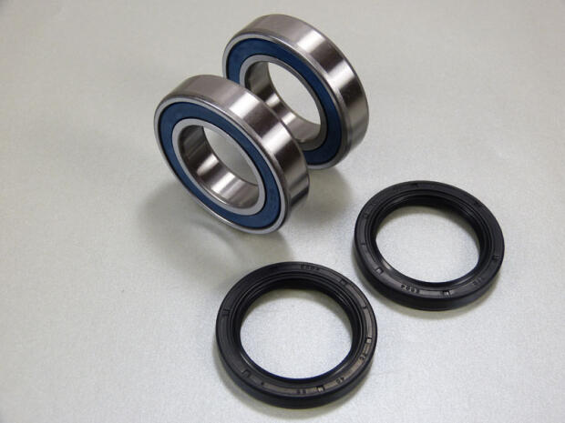 ALL-BALLS Radlager hinten für SMC Jumbo 700