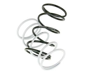 Variomatik Gegendruckfeder 2er Set Flex Tech