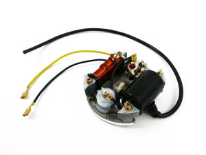 Lichtmaschine ***Yamaha YZF-R1 1000 RN09*** 02-03