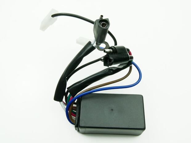 CDI Polaris Xplorer 300 400 Sportsman 500 / 400 / Scrambler Worker Ranger 500