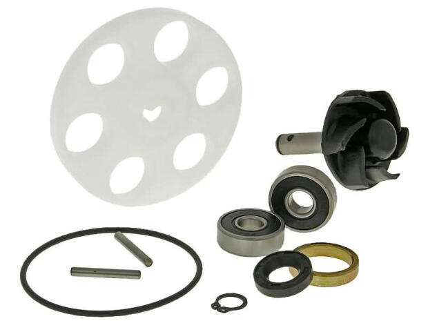 Wasserpumpe Reparatur Set Access 50-100 / Apex 50-90