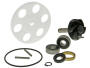 Wasserpumpe Reparatur Set Access 50-100 / Apex 50-90