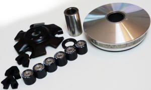 Variomatik Goes 220 Variator