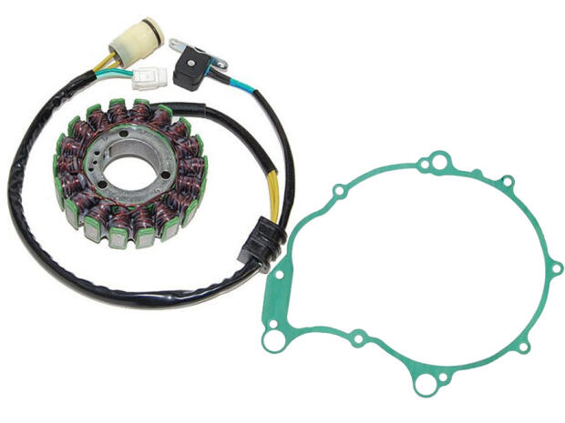 Lichtmaschine Yamaha Raptor YFM 660 R mit Dichtung 300W