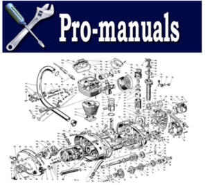 Kundendienst Werkstatthandbuch Access Triton Baja / Outback Utility 250 / 300 / 400 Reparaturanleitung Buch