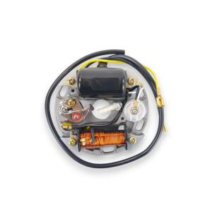 Lichtmaschine Zündung Zündspule 6V 17W Hercules Mofa Sachs 505 Prima M 2 3 4 5