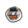 Lichtmaschine Zündung Zündspule 6V 17W Hercules Mofa Sachs 505 Prima M 2 3 4 5