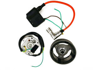 Elektronische Renn Zündung CDI 12V Sachs 506...