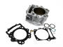 Zylinder kit Nikasil Yamaha Raptor YFM 700 R
