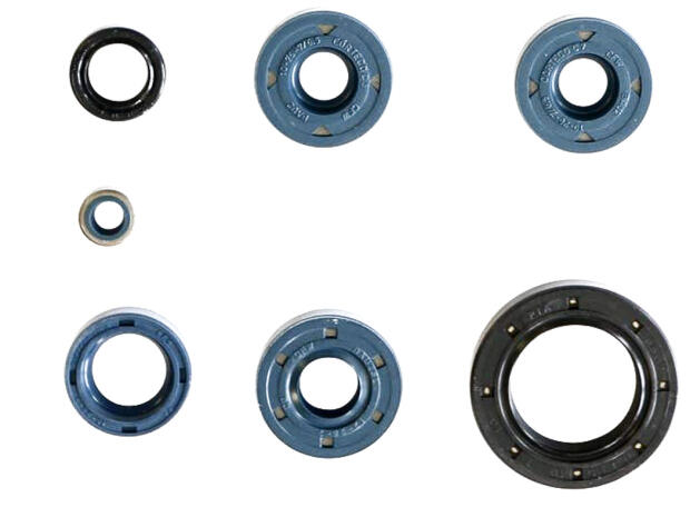 Dichtringe für BMW F 650 / G 650 / G Xchallenge/Xcountry/Xmoto Motor Wellendichtringe