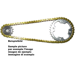 Kettensatz Gold speziell passend für Suzuki LTZ400, Kawasaki KFX400, Arctic Cat DVX 400 X-Ring Tuning verstärkt